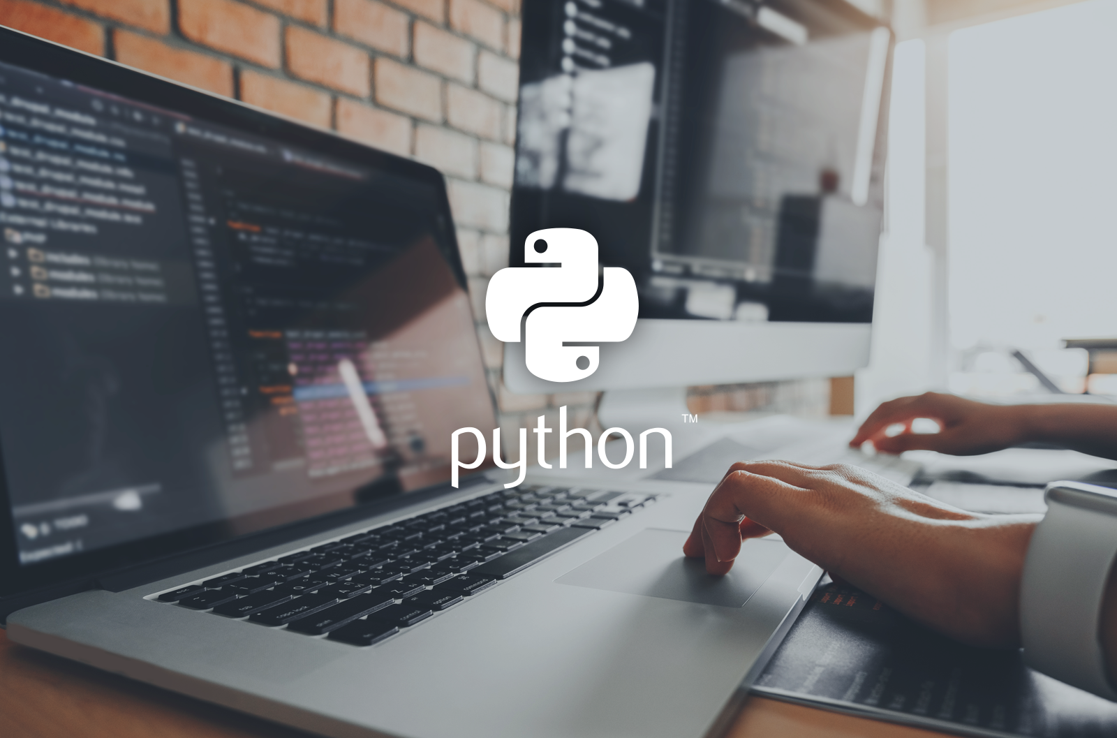 Everything You Need to Know about Python